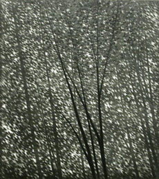 Shelter by Robert Kipniss at ebo Gallery