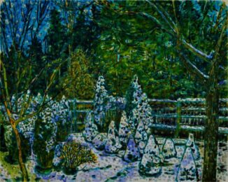 Snow by Nancy Friese at Oehme Graphics