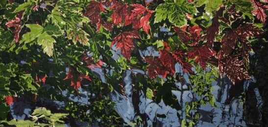 Solace by Jean Gumpper at ebo Gallery