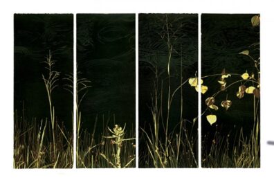 Sounds Of Rain (i, Ii, Iii, Iv) by Jean Gumpper at ebo Gallery