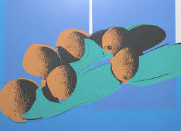 Space Fruit: Cantaloupes I 201 by Andy Warhol at Revolver Gallery