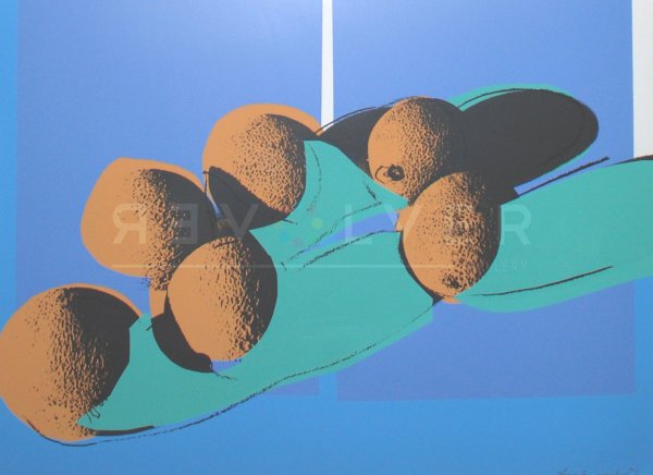 Space Fruits: Cantaloupes I (fs Ii. 201) by Andy Warhol