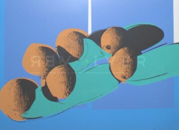 Space Fruits: Cantaloupes I (fs Ii. 201) by Andy Warhol at Revolver Gallery