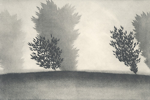 Summer Clouds by Robert Kipniss