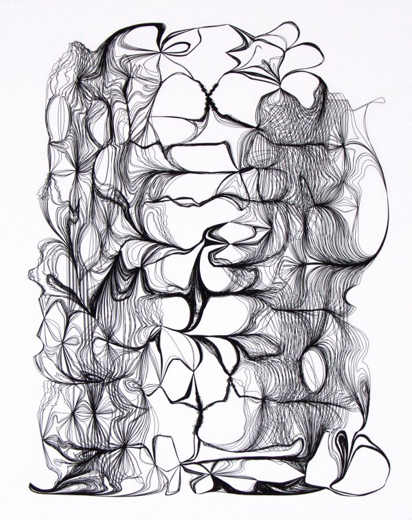 Nest 452 by Ted Kincaid