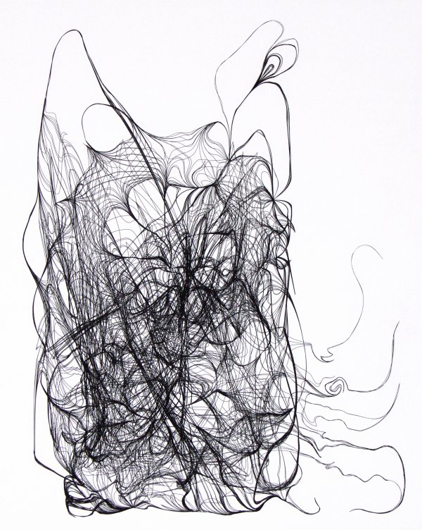 Nest 918 by Ted Kincaid