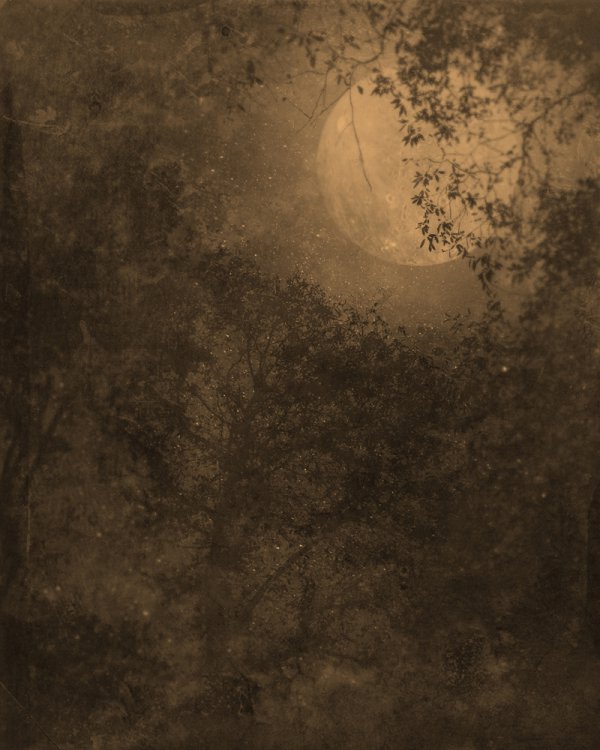 Nocturnal Landscape 1119 by Ted Kincaid