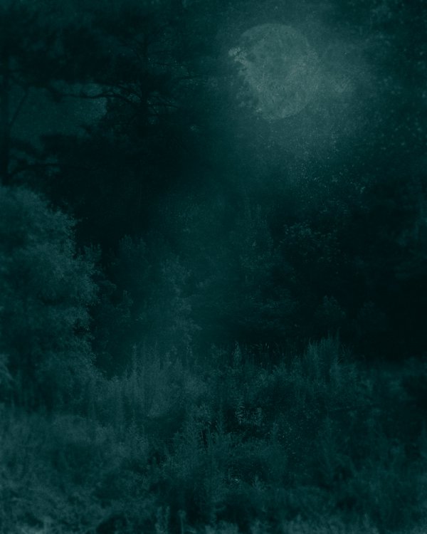 Nocturnal Landscape 228 by Ted Kincaid