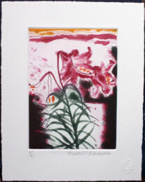 The Lily (with Signed Book) by Elizabeth Blackadder at Pomegranate Fine Art