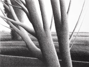 Thick Trees by Robert Kipniss at ebo Gallery