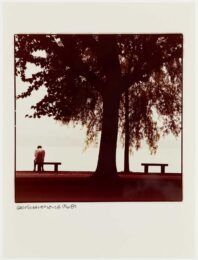 Tree And Man by Robert Rauschenberg at Graphicstudio