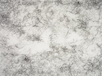 Tree Ruins (haitian Charcoal Field) by Blane De St. Croix at Lower East Side Printshop