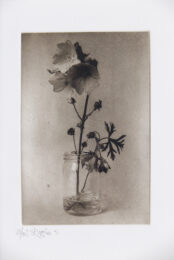 Untitled by Jonathan Higgins at Manneken Press (IFPDA)