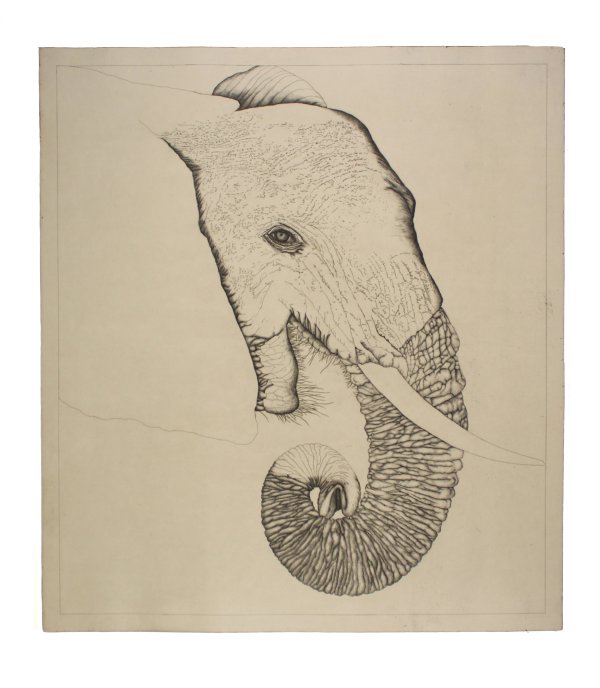 Untitled (elephant) by George Whitman