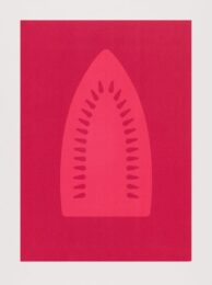 Virgin of Desire (ascending) by Willie Cole at Highpoint Editions