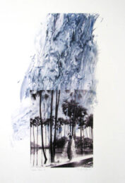 Water Babies 9 by Susan Hambleton at Oehme Graphics