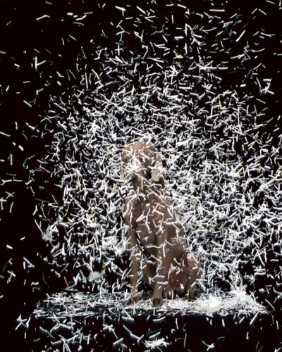 Blizzard by William Wegman at