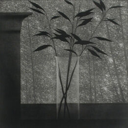 Window w/vase & forest by Robert Kipniss at ebo Gallery