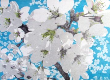 Yoshino Cherry Blossoms by Rica Bando at ebo Gallery
