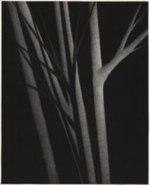 A Gathering by Robert Kipniss at ebo Gallery