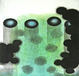 A Growing Time by Mark Mullin at VanDeb Editions