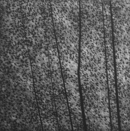 A Song Of Leaves by Robert Kipniss at ebo Gallery