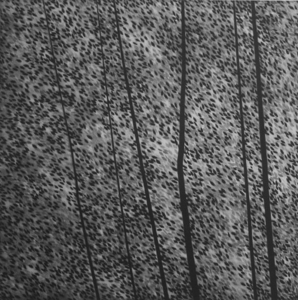 A Song Of Leaves by Robert Kipniss