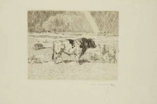 Taureau Dans Un Pré / Bull In A Meadow by Alexandre Lunois