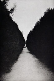 Allee II by Philip Van Keuren at Manneken Press (IFPDA)
