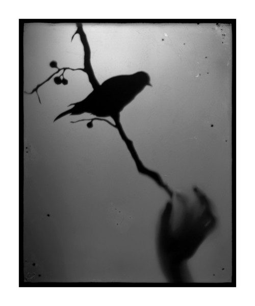Untitled by Amanda Tinker
