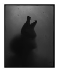 Untitled by Amanda Tinker