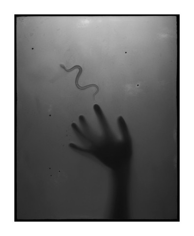 Untitled by Amanda Tinker