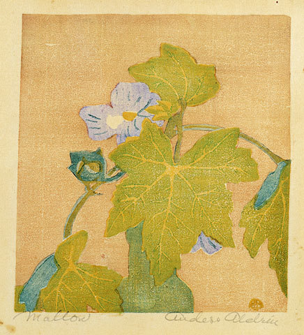 Mallow by Anders Gustave Aldrin at