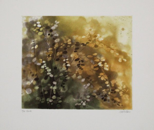 Fairlee by Anne Walker