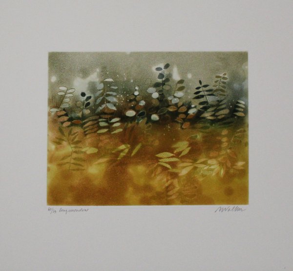 Longmeadow by Anne Walker