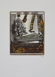 Asickart by Zush / Evru at Sylvan Cole Gallery