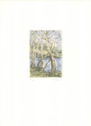 Bäume by Karoline Wittmann at Sylvan Cole Gallery
