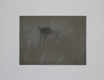 Beast by Norbert Fleischmann at Sylvan Cole Gallery