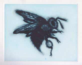 Bee by Tomoko Konoike at KIDO Press