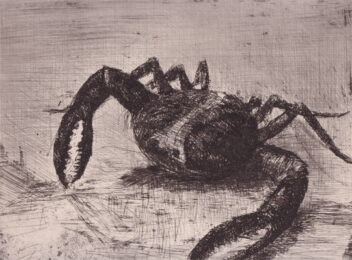 Bestiaire by Pedro Zamorano de Biedma at Sylvan Cole Gallery