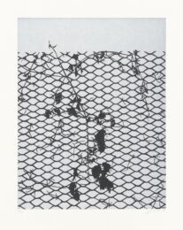 Beyond by Claas Gutsche at Aspinwall Editions