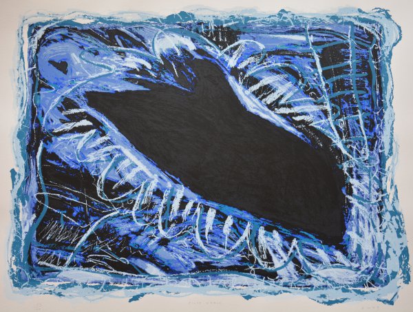 Pilot Whale by Bill West