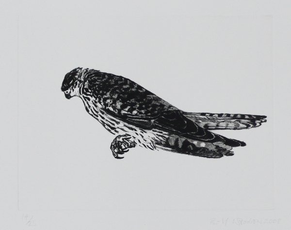 Kestrel by Bill Woodrow RA