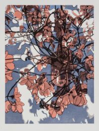 Blossom, Variation 2 (burnt Orange And Blue) by Jane E. Goldman at ebo Gallery
