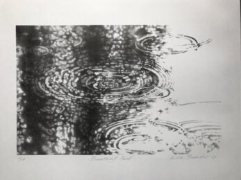 Breathing Pond by Rica Bando at ebo Gallery