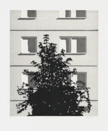 Busch by Claas Gutsche at Aspinwall Editions