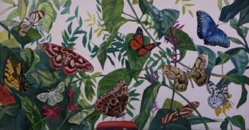 Butterflies by Jane E. Goldman at ebo Gallery