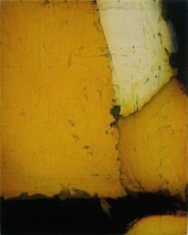 Cañaveral by Christian Bozon at ebo Gallery