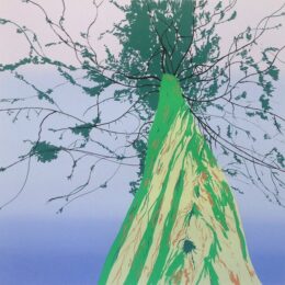 Canopy Memories by Jonathan Purday at Eyestorm