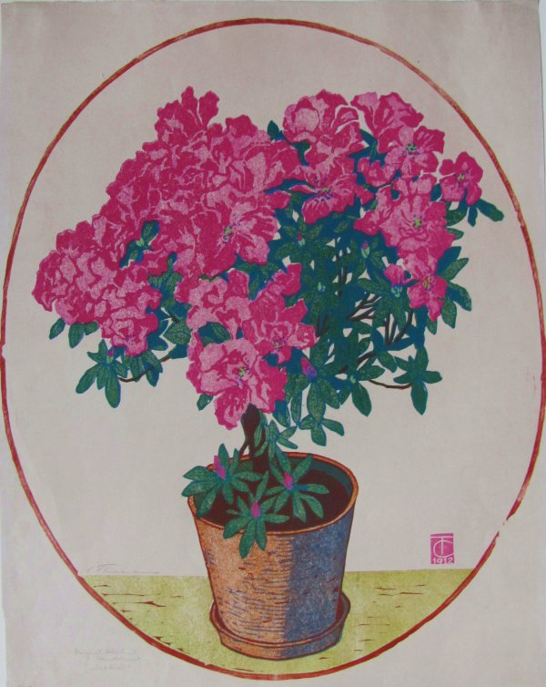 Azalea by Carl Thiemann